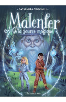 MALENFER T2 - LA SOURCE MAGIQUE - O-DONNELL/FLEURY - Flammarion