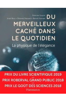 DU MERVEILLEUX CACHE DANS LE QUOTIDIEN - COLLECTIF/GUYON - FLAMMARION