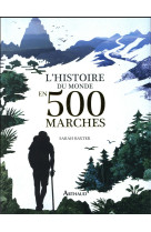 HISTOIRE DU MONDE EN 500 MARCHES - BAXTER SARAH - FLAMMARION