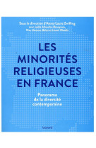 MINORITES RELIGIEUSES EN FRANCE (LES) - ZWILLING ANNE-LAURE - BAYARD CULTURE