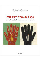 JOB EST COMME CA - GASSER SYLVAIN - BAYARD CULTURE