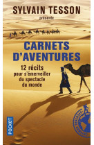 CARNETS D-AVENTURES - TESSON SYLVAIN - Pocket