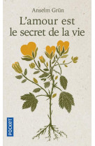 AMOUR EST LE SECRET DE LA VIE - GRUN ANSELM - POCKET