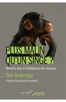 PLUS MALIN QU-UN SINGE ? - AMBRIDGE BEN - BUCHET CHASTEL