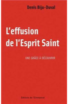 EFFUSION DE L-ESPRIT-SAINT - BIJU-DUVAL DENIS - EMMANUEL