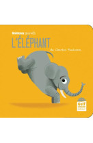 ELEPHANT - PAULSSON CHARLES - GULF STREAM