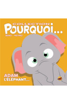 COLLECTION POURQUOI... - ADAM, L-ELEPHANT - BENO- NEYMO - P TIT LOUIS