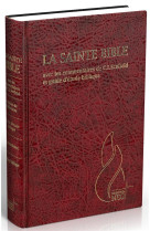 BIBLE D-ETUDE SEGOND NEG SCOFIELD, GRENAT - COUVERTURE RIGIDE, SKYVERTEX - SEGOND NEG 1979 - MAISON BIBLE