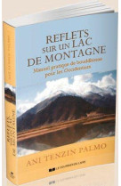 VIE QUOTIDIENNE COMME PRATIQUE MEDITATIVE ( LA) - PALMO TENZIN - Courrier du livre