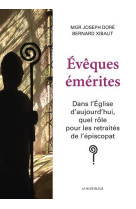 EVEQUES EMERITES - DORE JOSEPH - Nuée bleue