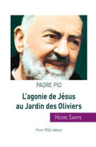 AGONIE DE JESUS AU JARDIN DES OLIVIERS - PADRE PIO SAINT - TEQUI