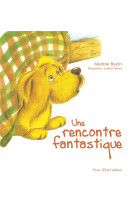 UNE RENCONTRE FANTASTIQUE - EDITION ILLUSTREE - BAZIN ET POIRIER - TEQUI