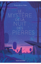 MYSTERE DE LA NUIT DES PIERRES - BRISOU-PELLEN EVELYN - Bayard Jeunesse