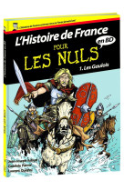 HISTOIRE DE FRANCE EN BD POUR LES NULS T0 1 LES GAULOIS - JULAUD/PARMA/QUEYSSI - FIRST