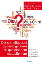 DES CATHOLIQUES ET DES EVANGELIQUES SE QUES TIONNENT - COLLECTIF - Excelsis