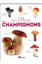 GUIDE ENCYCLOPEDIQUE DES CHAMPIGNONS - POLESE JM - Artémis