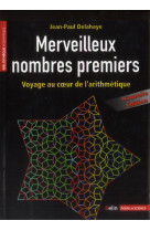 MERVEILLEUX NOMBRES PREMIERS NED 2013 - DELAHAYE JEAN LUC - Pour la science