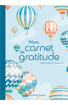 Mon carnet de gratitude - version montgolfieres - edition illustree