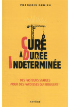 UN CURE DANS LA DUREE... - POUR UNE PAROISSE QUI BOUGE ! - DEDIEU FRANCOIS - ARTEGE