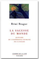 SAGESSE DU MONDE (LA) - BRAGUE REMI - FAYARD