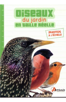 OISEAUX DU JARDIN EN TAILLE REELLE - COLLECTIF - ARTEMIS