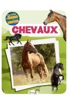 CHEVAUX - DECOUVRE LE MONDE EN PHOTOS - COLLECTIF - GRENOUILLE