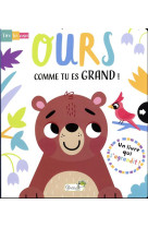 OURS COMME TU ES GRAND ! - XXX - GRENOUILLE