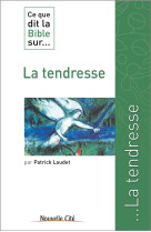 CE QUE DIT LA BIBLE SUR LA TENDRESSE - LAUDET PATRICK - Nouvelle Cité