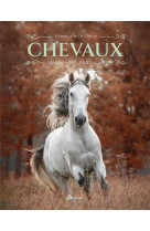 CHEVAUX : UN UNIVERS FABULEUX - DAL-SECCO EMMANUELLE - ARTEMIS