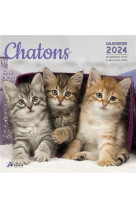 CALENDRIER CHATONS 2024 - COLLECTIF - NC