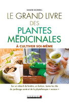 GRAND LIVRE DES PLANTES MEDICINALES - BORREL MARIE - Leduc.s éditions