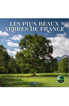 CALENDRIER DES PLUS BEAUX ARBRES DE FRANCE 2024 - COLLECTIF AUTEURS - REVUES BAYARD