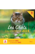 CALENDRIER DES CHATS (EDITION 2024) - XXX - METIVE