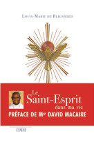 SAINT-ESPRIT DANS MA VIE -  R.P. Louis-Marie de Blignières - MARTIN MORIN