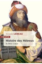 UNE HISTOIRE DES HEBREUX / DE MOISE A JESUS - Richard Lebeau - TALLANDIER