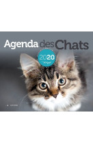 AGENDA DES CHATS 2020 -   - GESTE