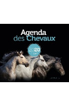 AGENDA DES CHEVAUX 2020 -   - GESTE