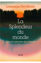 LA SPLENDEUR DU MONDE - ALLER A LA RENCONTRE DE LA BEAUTE - DEVILLAIRS LAURENCE - STOCK