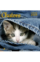 CALENDRIER CHATONS 2025 - COLLECTIF - NC