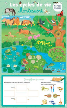 LES POSTERS EFFACABLES - CYCLES DE VIE MONTESSORI - COLLECTIF - NC