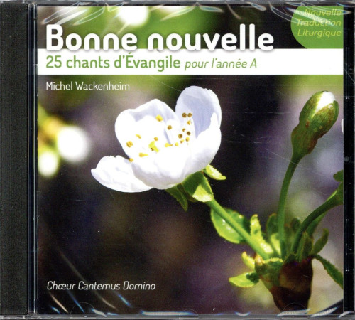 BONNE NOUVELLE - 25 CHANTS D EVANGILE ANNEE A - COLLECTIF - NC