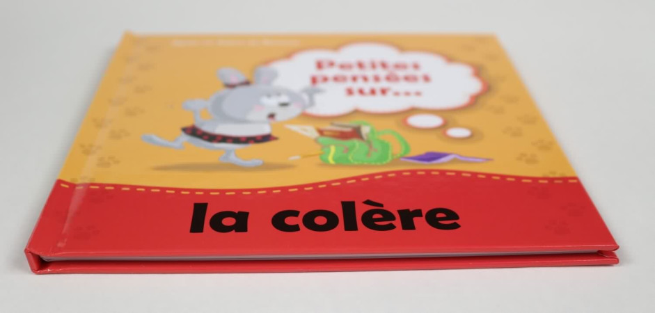 PETITES PENSEES SUR LA COLERE - De Bezenac - ICHARACTER LTD