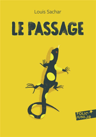 PASSAGE - SACHAR LOUIS - Gallimard-Jeunesse