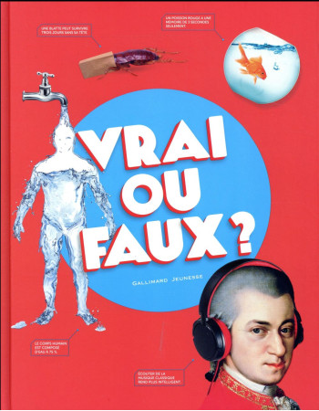 VRAI OU FAUX ? - MILLS ANDREA - Gallimard-Jeunesse