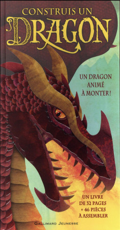 CONSTRUIS UN DRAGON - STEER/CARREL - Gallimard-Jeunesse