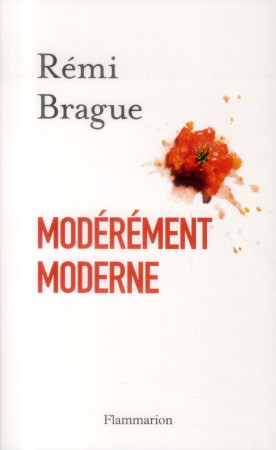 MODEREMENT MODERNE - BRAGUE REMI - Flammarion