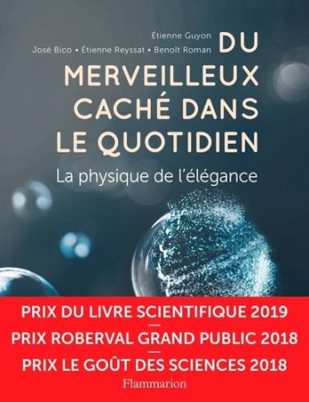 DU MERVEILLEUX CACHE DANS LE QUOTIDIEN - COLLECTIF/GUYON - FLAMMARION