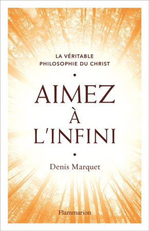 AIMEZ A L-INFINI - MARQUET DENIS - FLAMMARION