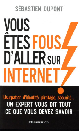 VOUS ETES FOUS D-ALLER SUR INTERNET ! - DUPONT SEBASTIEN - FLAMMARION