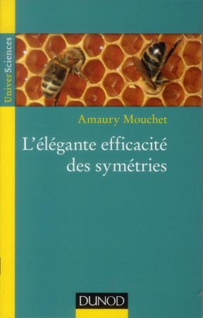 ELEGANTE EFFICACITE DES SYMETRIES - MOUCHET AMAURY - Dunod